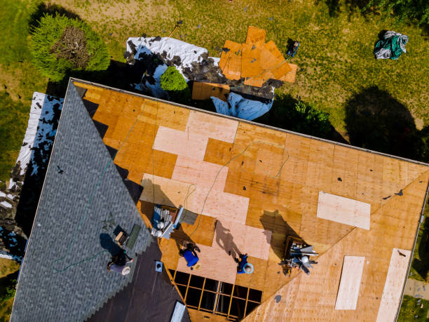 Best Roof Gutter Cleaning  in Marion, PA